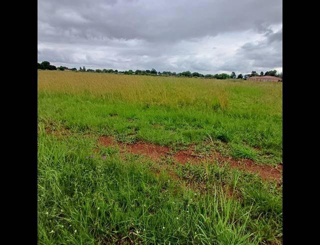 16,170M² VACANT LAND FOR SALE IN KOOKRUS